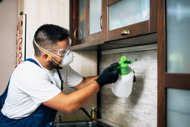 Best Pest Prevention Services  in Bren Arrow, OK