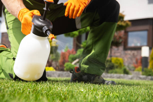 Bird Control in Broken Arrow, OK