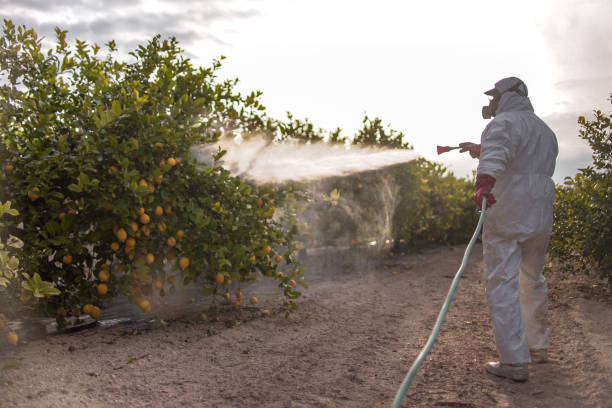 Trusted Broken Arrow, OK Pest Control Experts