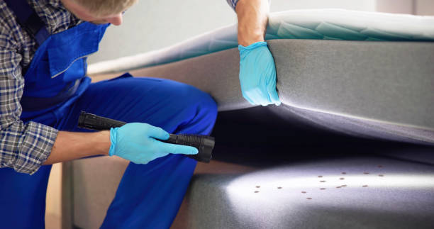 Best Best Pest Control Companies  in Bren Arrow, OK