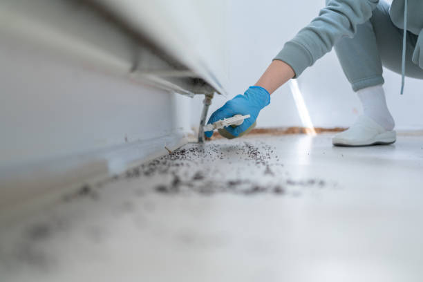 Pest Control Cost in Broken Arrow, OK